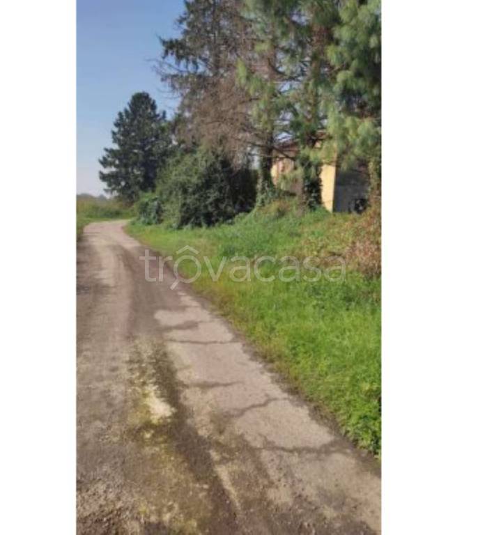 immagine annuncio 8 di 11