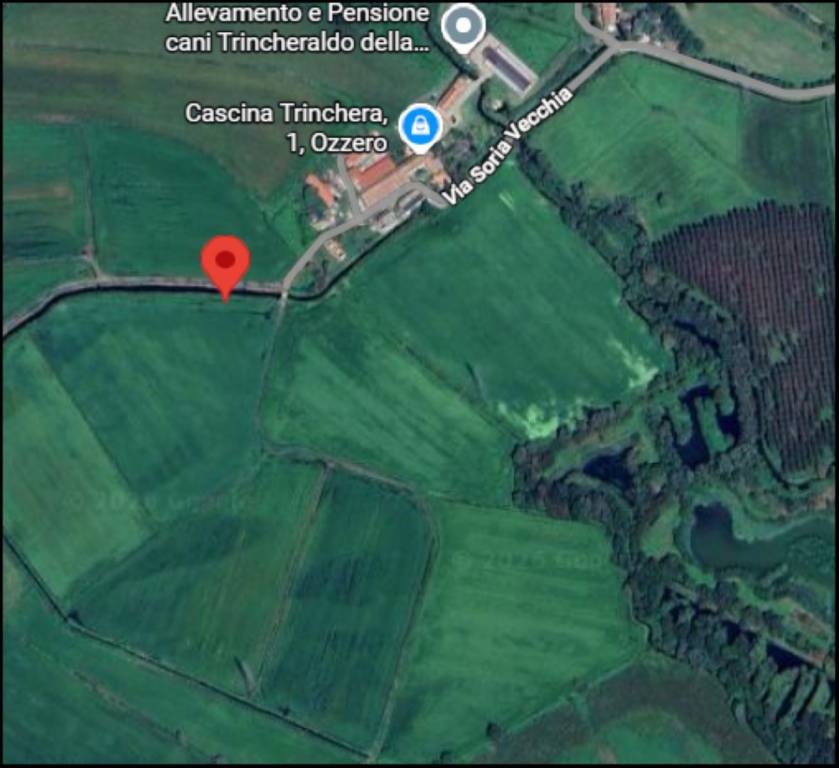 immagine annuncio 11 di 12