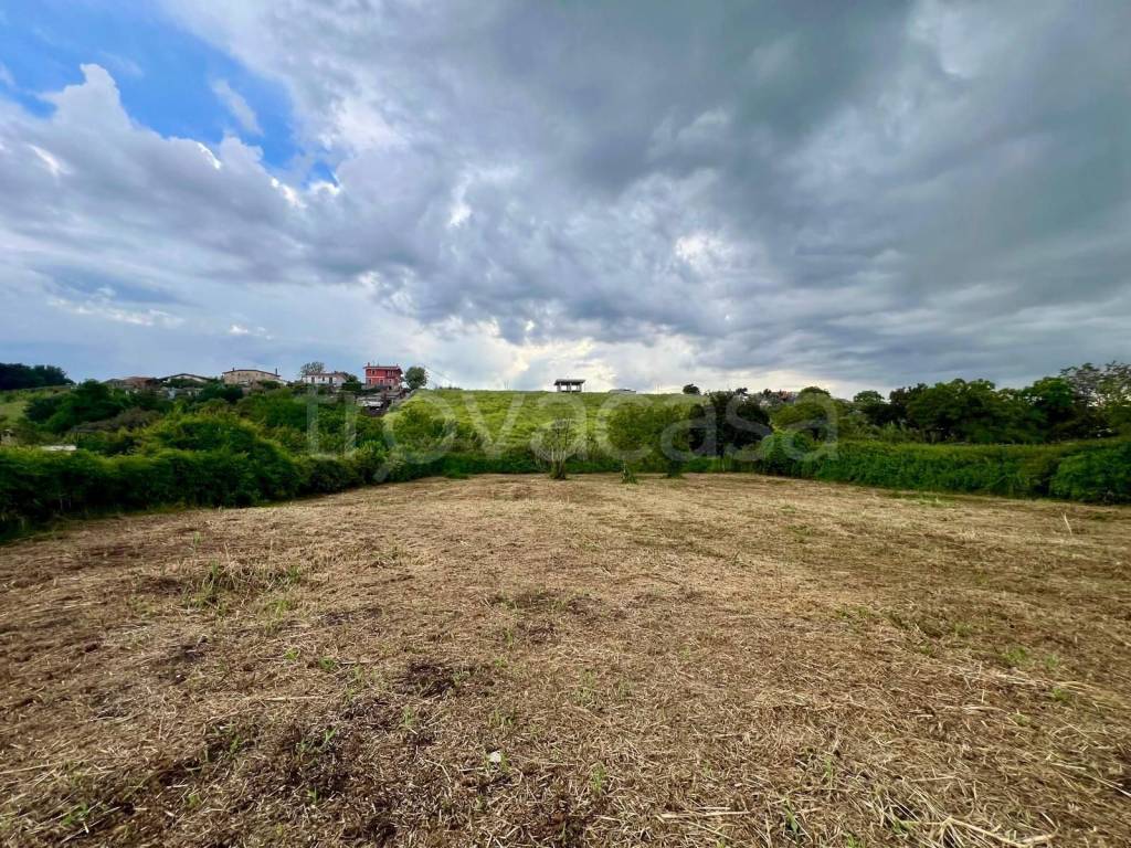 immagine annuncio 3 di 6