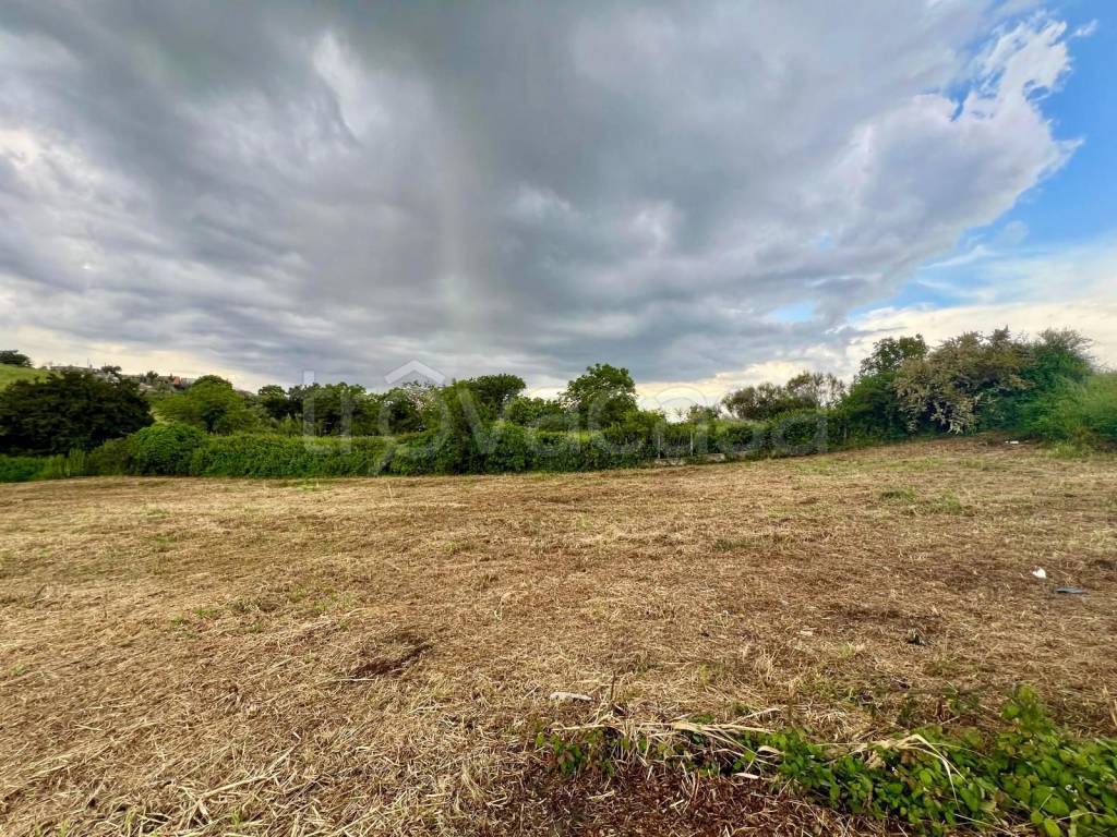 immagine annuncio 4 di 6