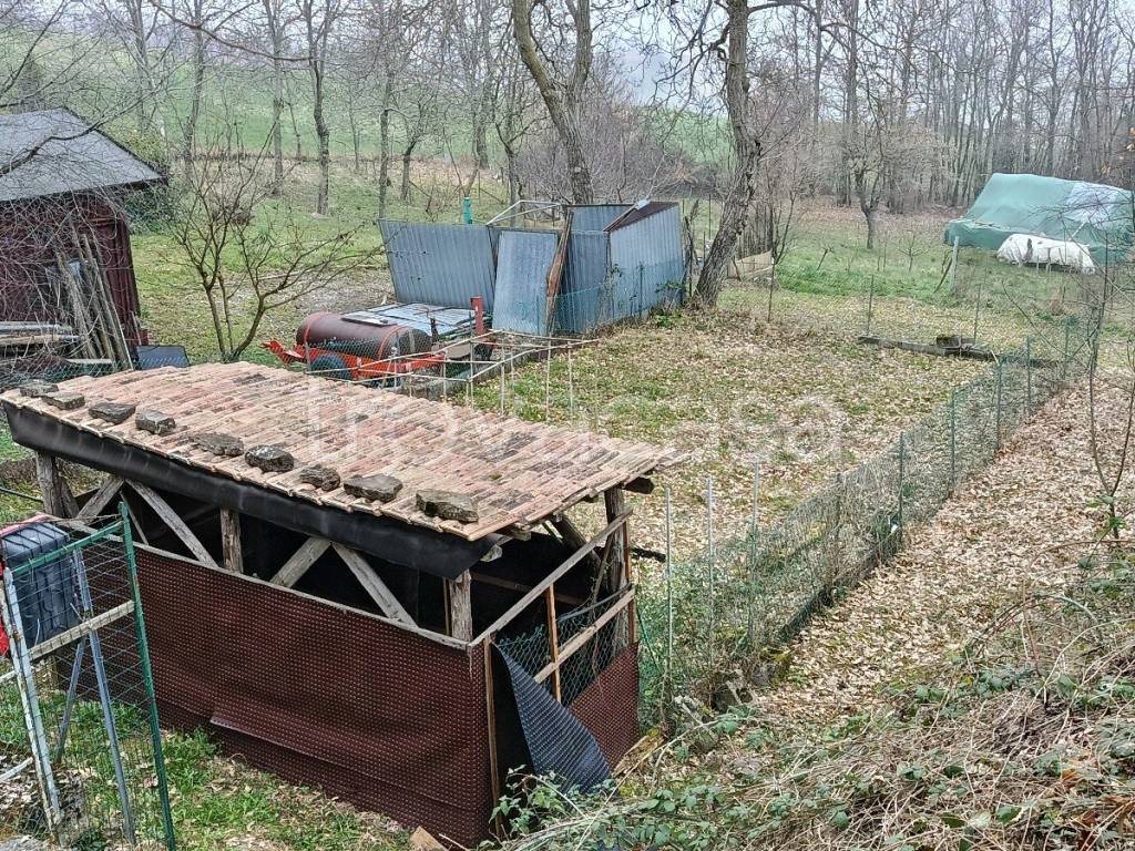 immagine annuncio 4 di 15