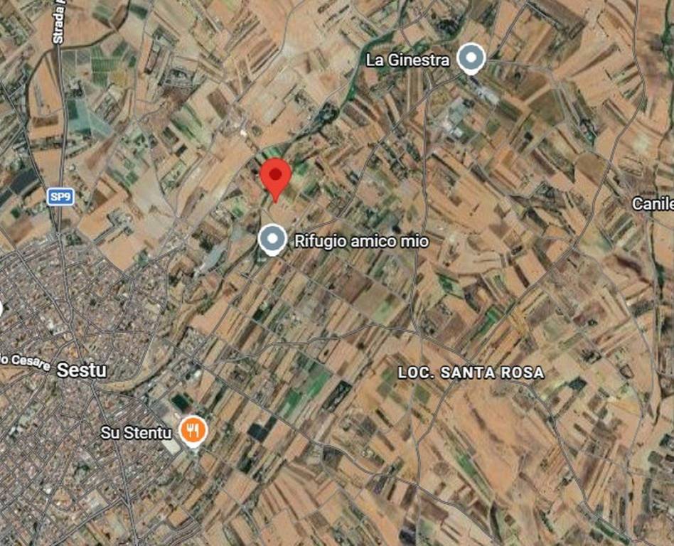 immagine annuncio 4 di 12