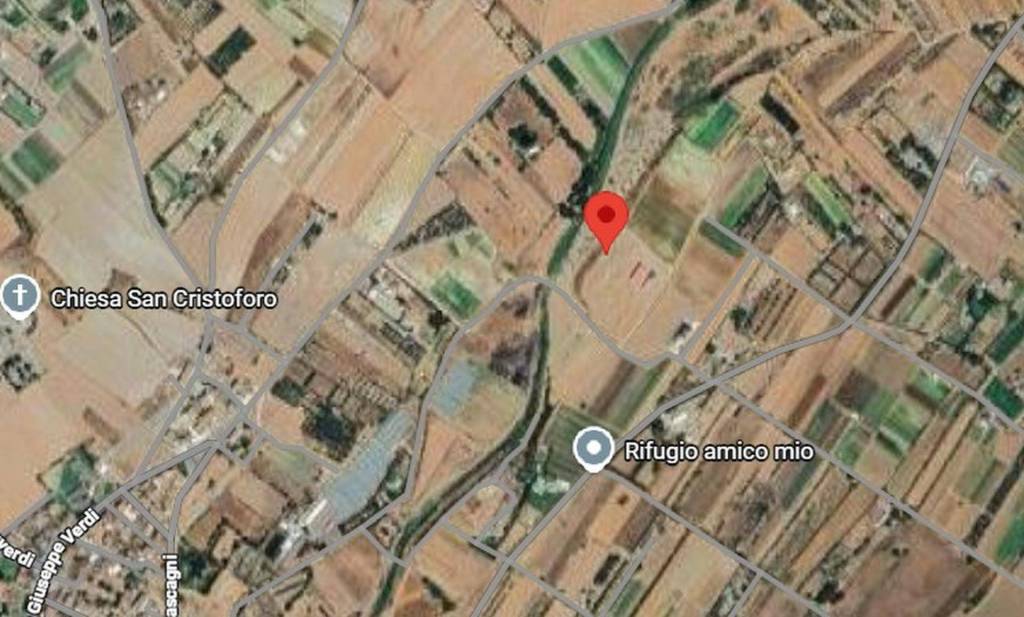 immagine annuncio 5 di 12