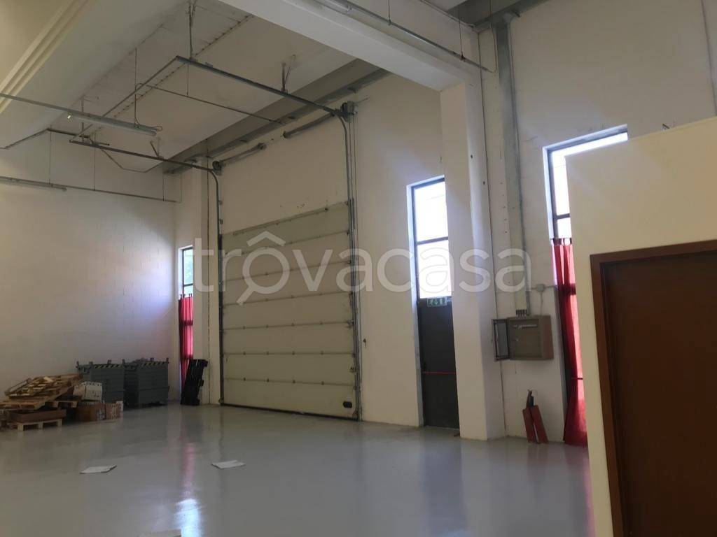 immagine annuncio 1 di 7