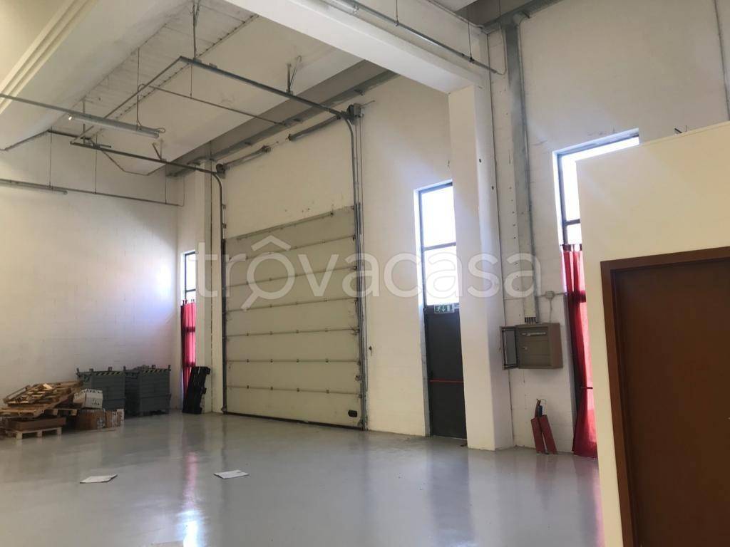 immagine annuncio 2 di 7