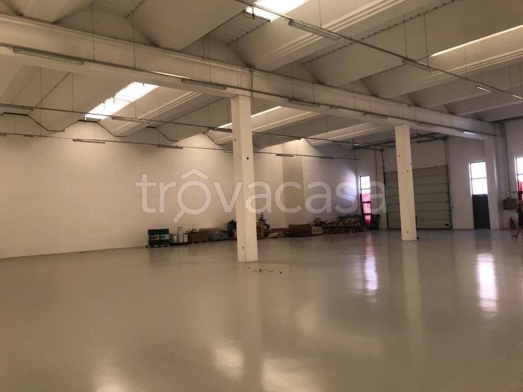 immagine annuncio 3 di 7