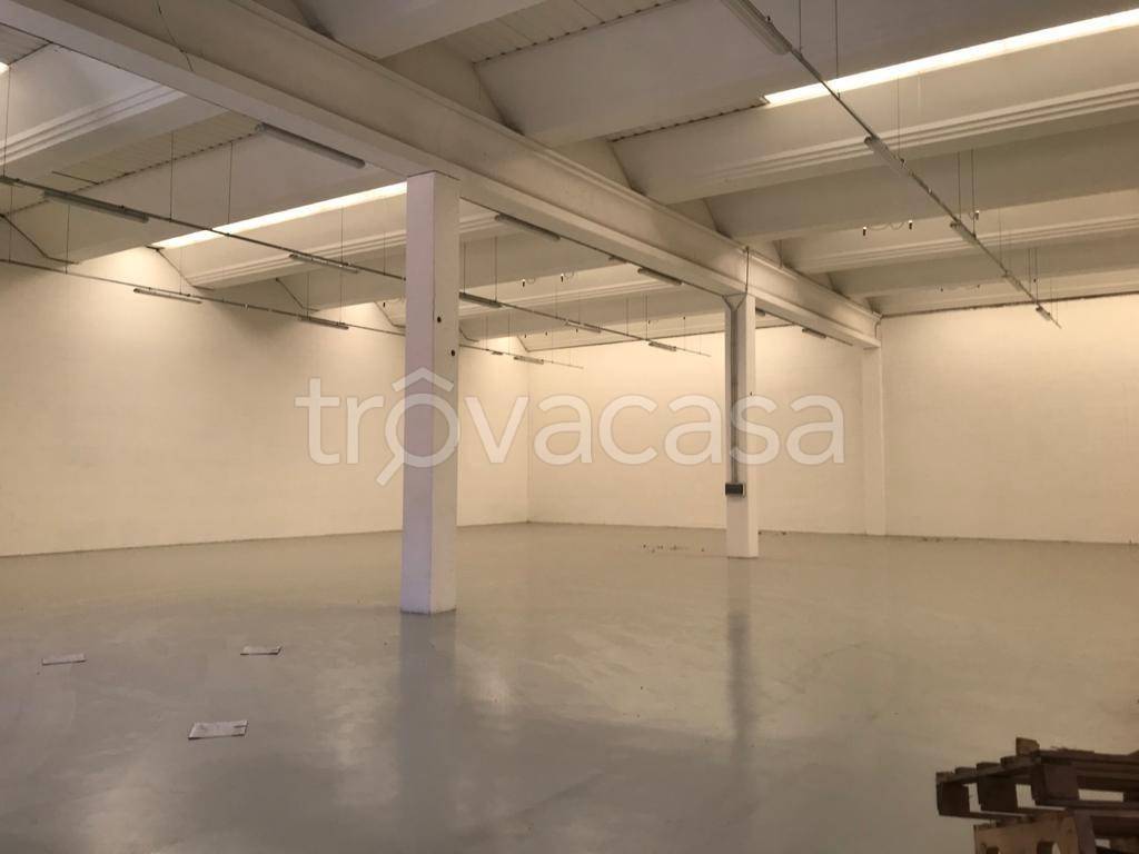 immagine annuncio 4 di 7