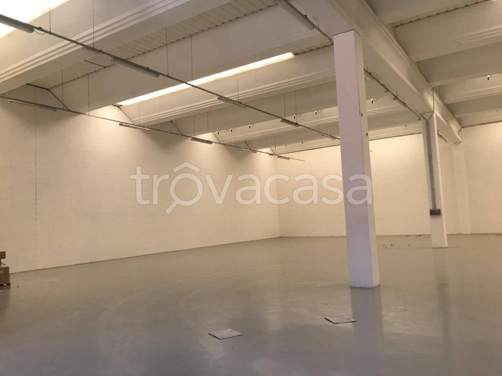 immagine annuncio 5 di 7