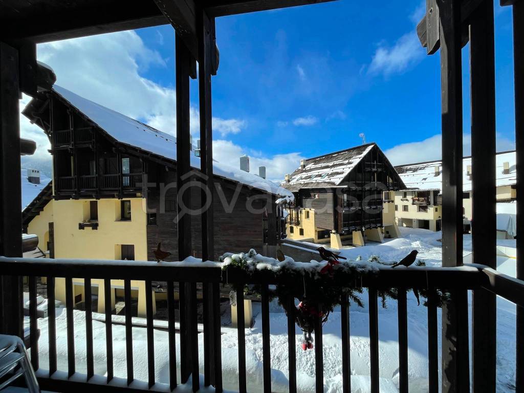 immagine annuncio 7 di 11