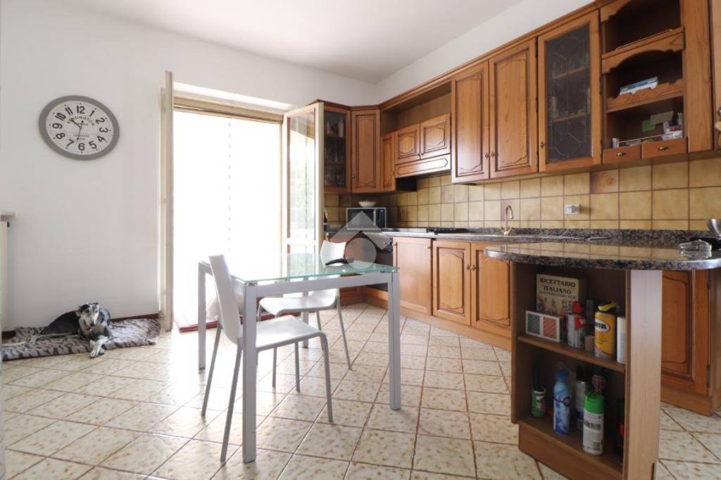 immagine annuncio 6 di 15