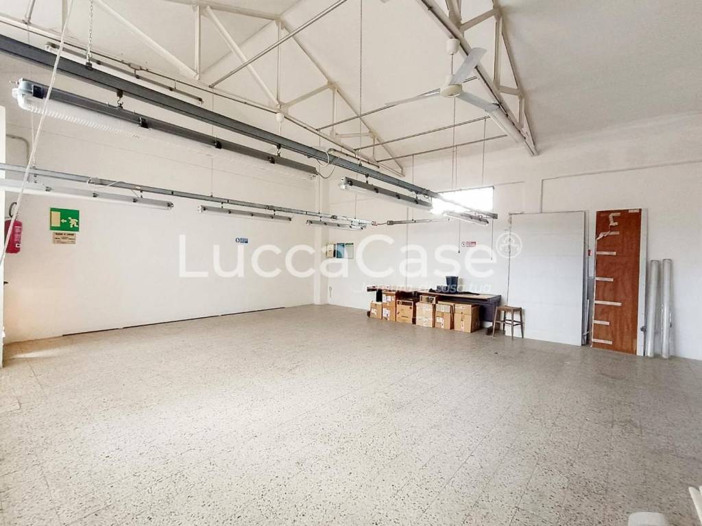 immagine annuncio 2 di 6