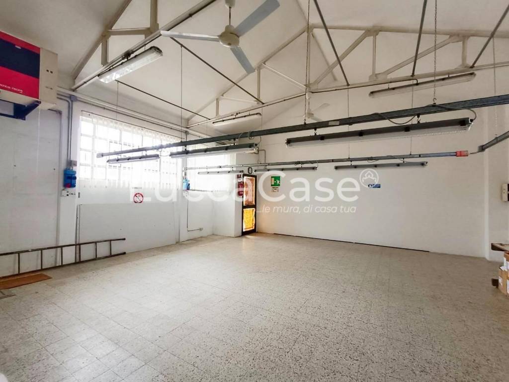 immagine annuncio 4 di 6