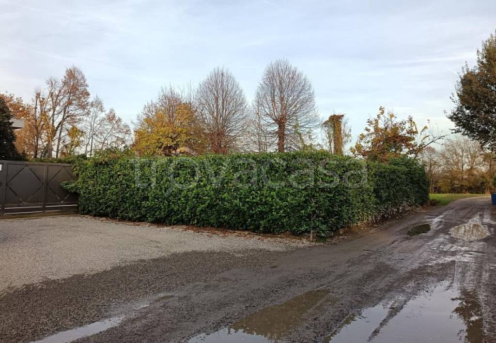 immagine annuncio 4 di 11