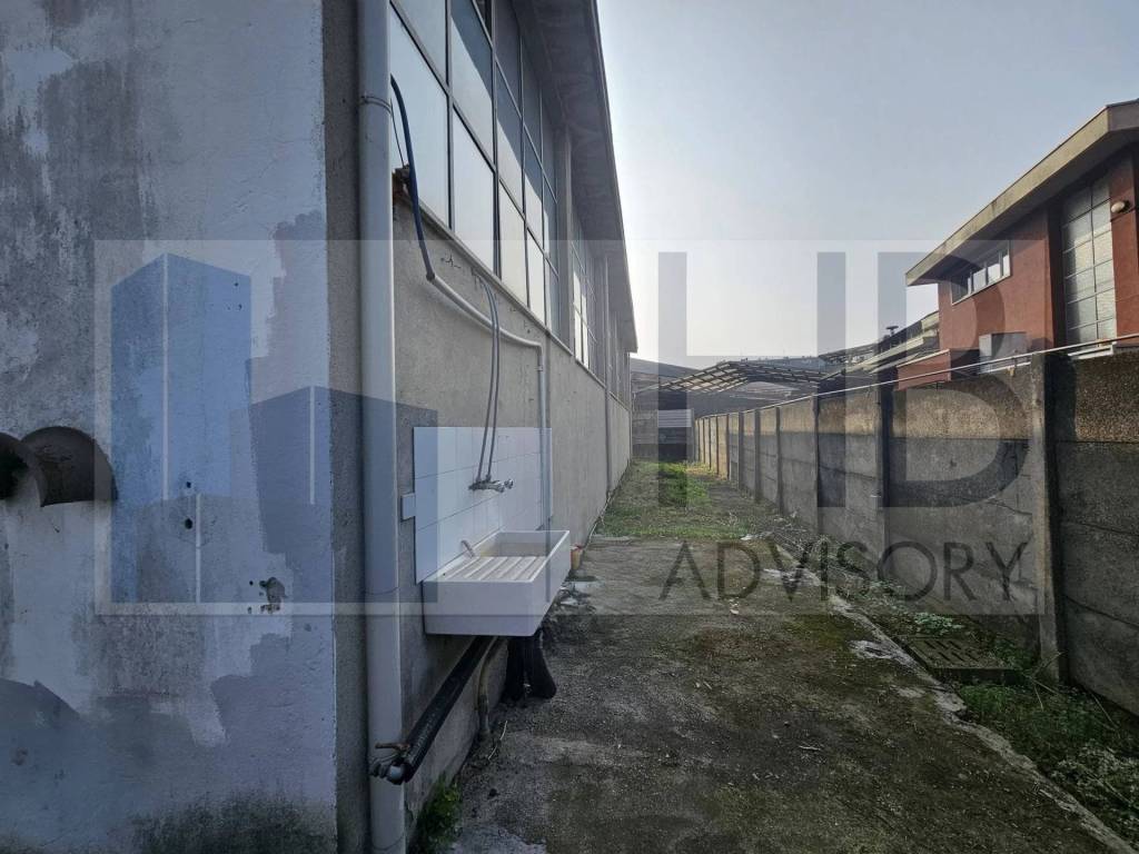 immagine annuncio 9 di 14