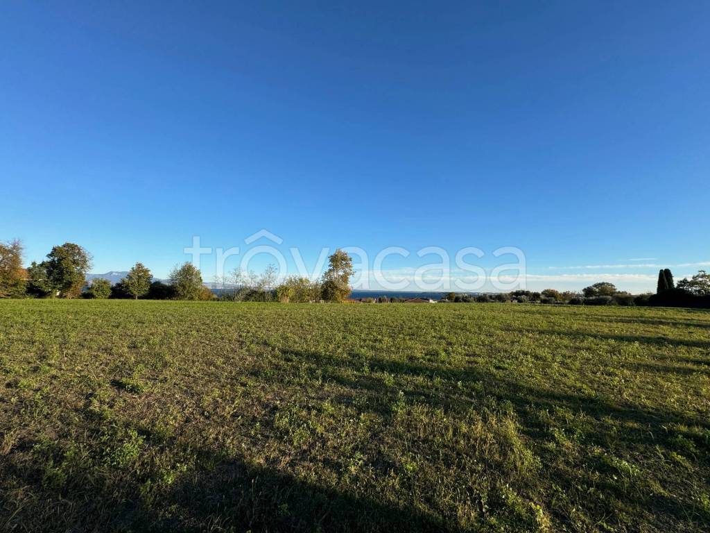 immagine annuncio 5 di 6