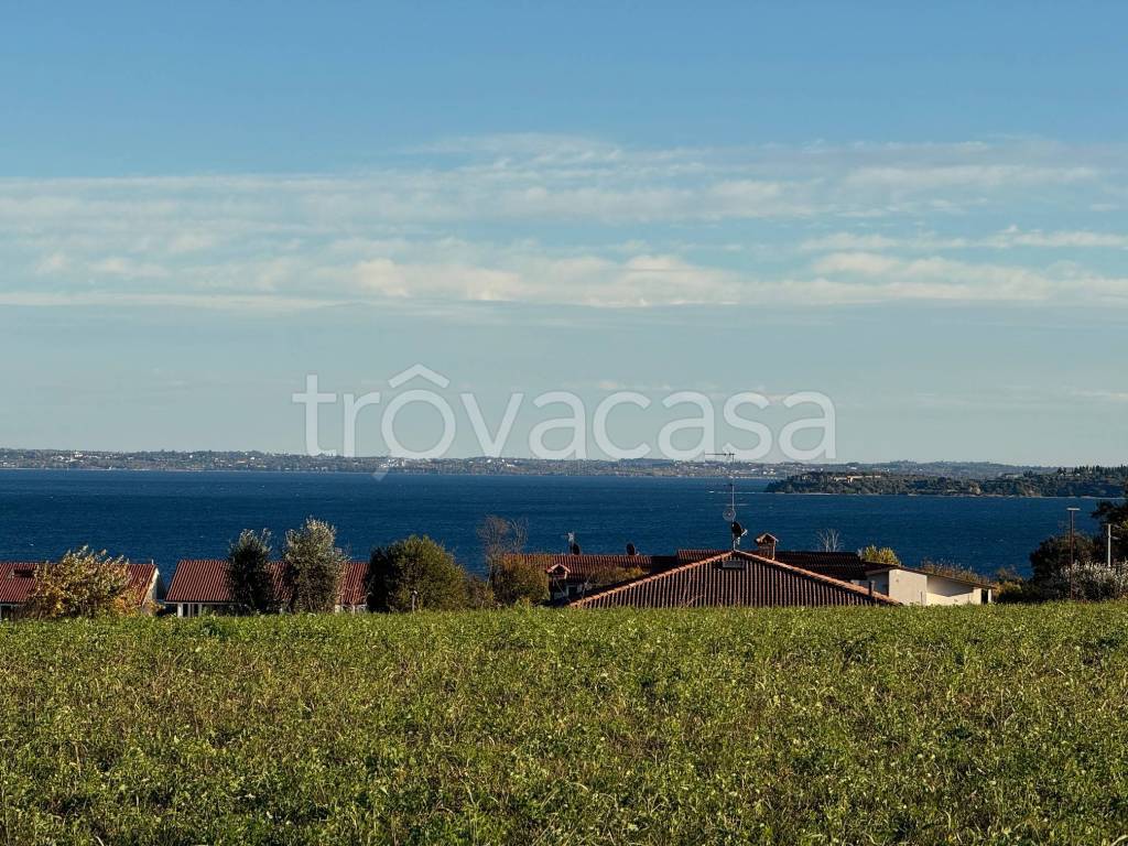 immagine annuncio 3 di 6