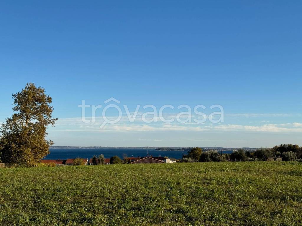 immagine annuncio 4 di 6