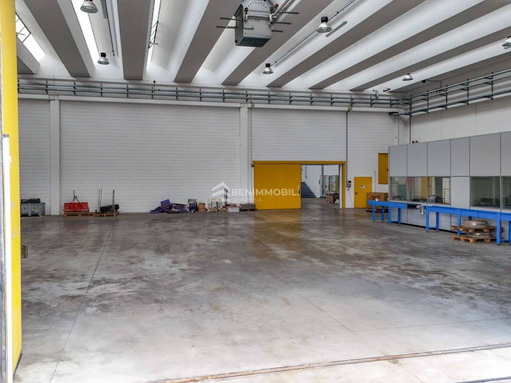 immagine annuncio 9 di 15