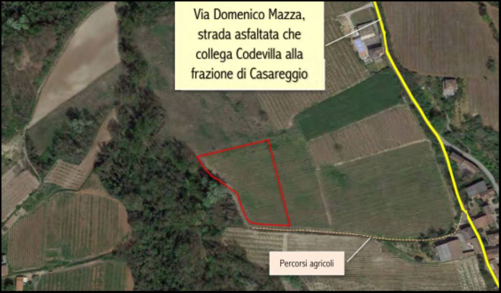 immagine annuncio 7 di 12