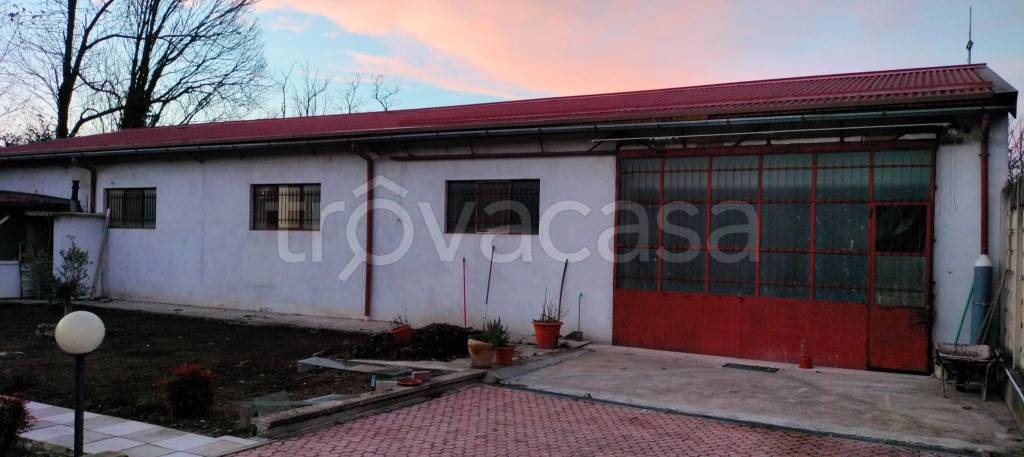 immagine annuncio 5 di 8