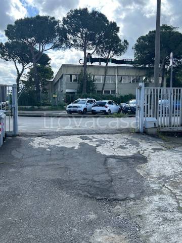 immagine annuncio 5 di 8