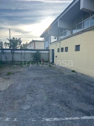 immagine annuncio 6 di 8