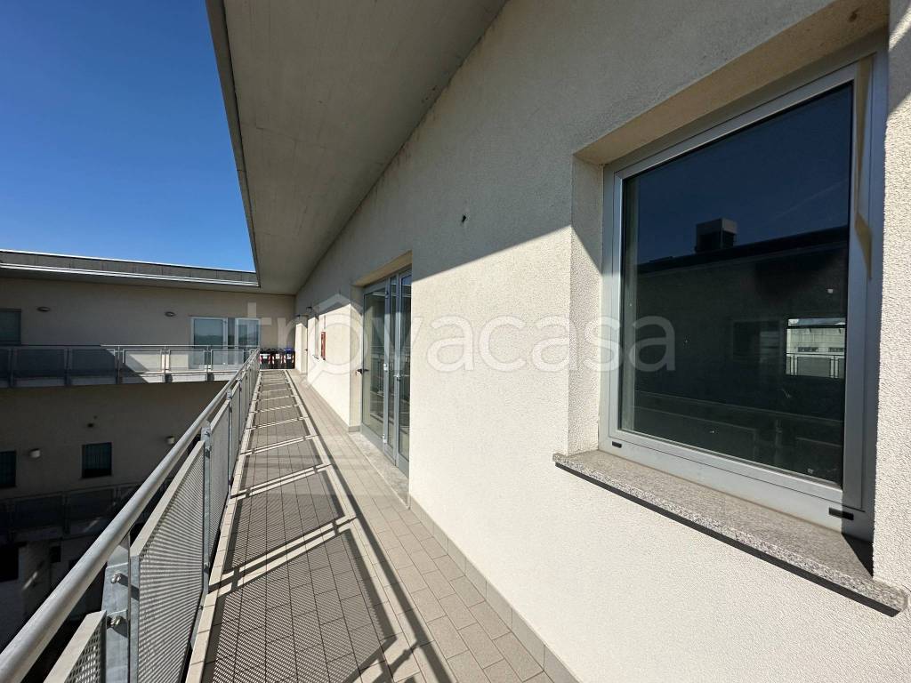 immagine annuncio 5 di 11