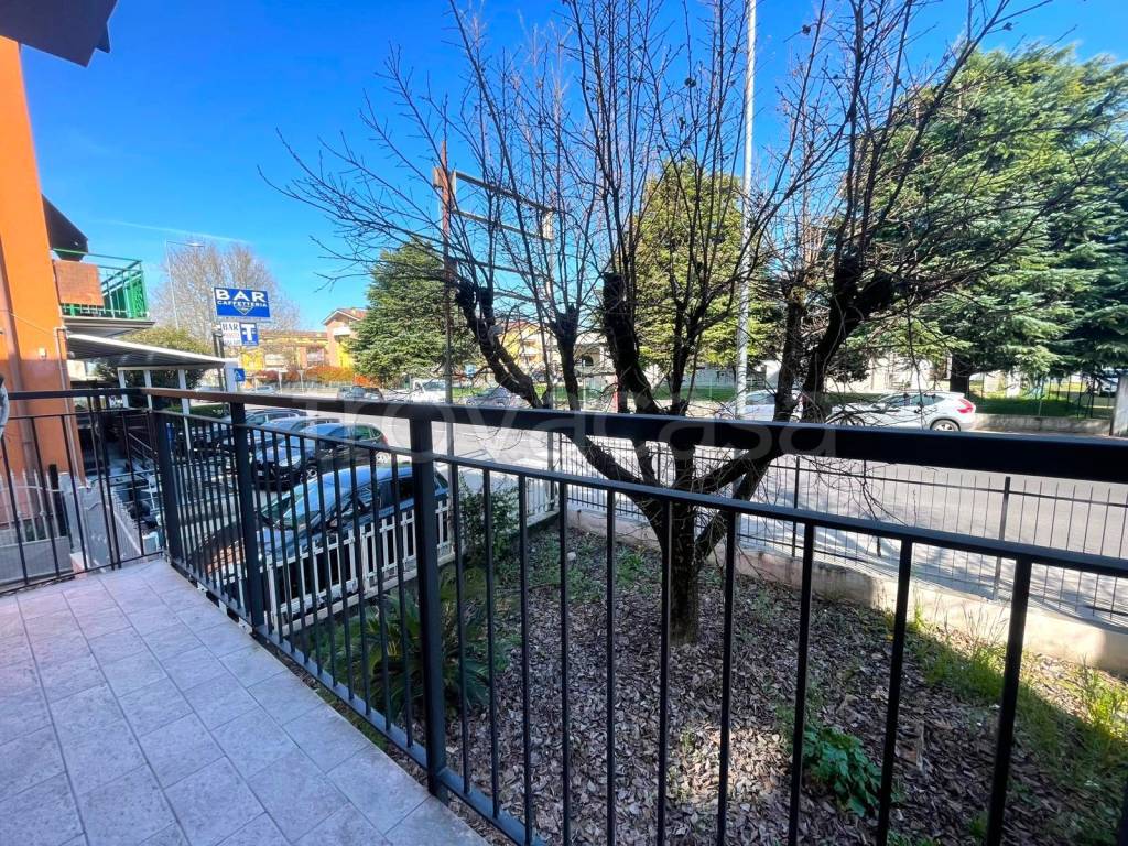 immagine annuncio 12 di 15