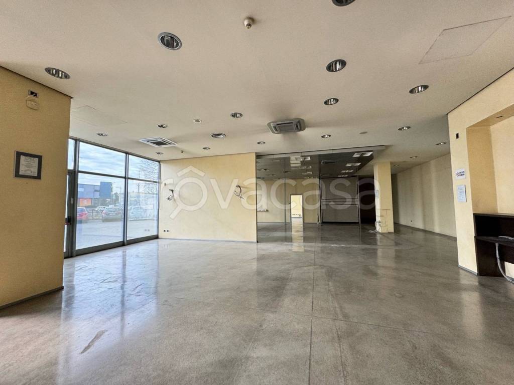 immagine annuncio 1 di 8