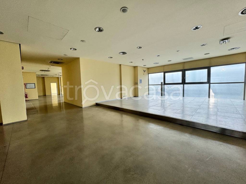 immagine annuncio 3 di 8