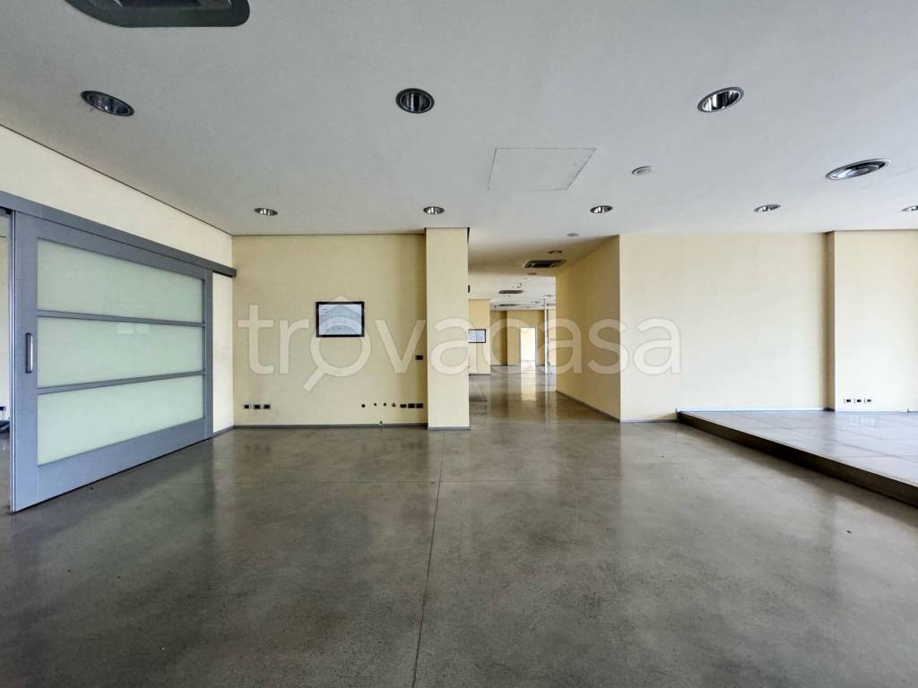 immagine annuncio 5 di 8