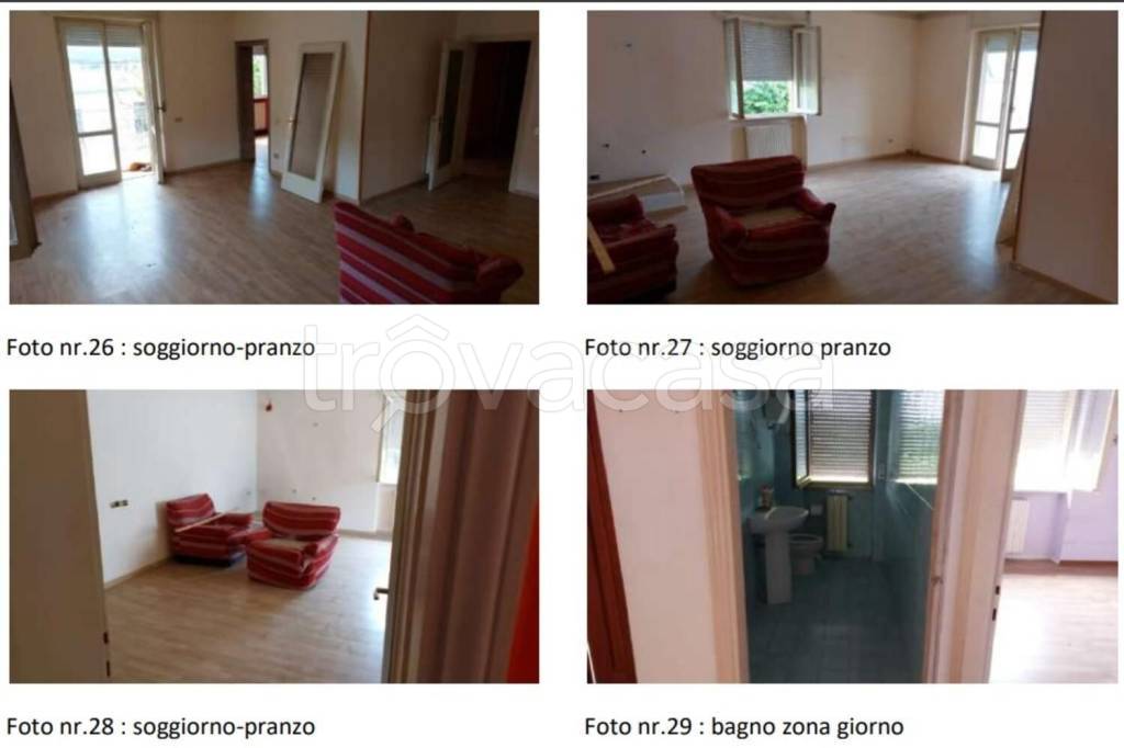 immagine annuncio 2 di 14