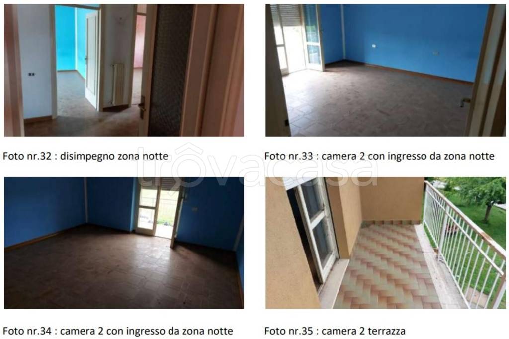 immagine annuncio 3 di 14