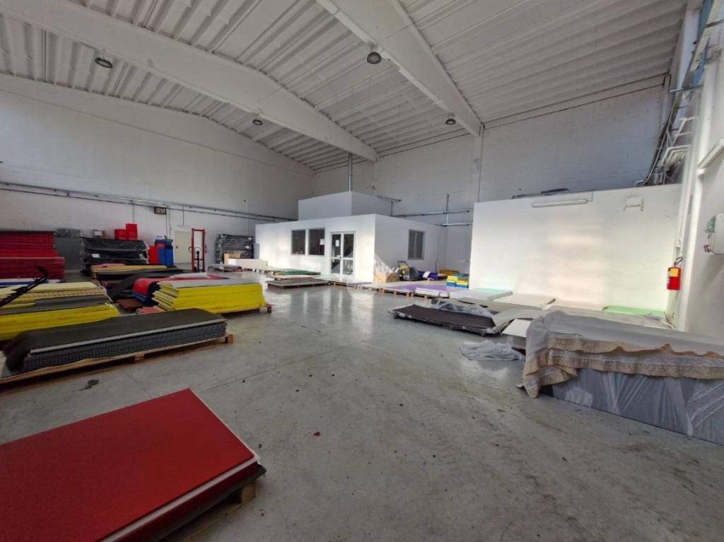 immagine annuncio 5 di 14