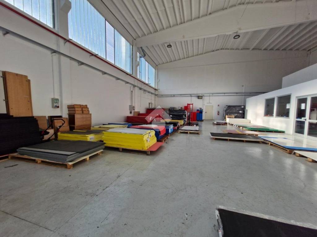 immagine annuncio 9 di 14