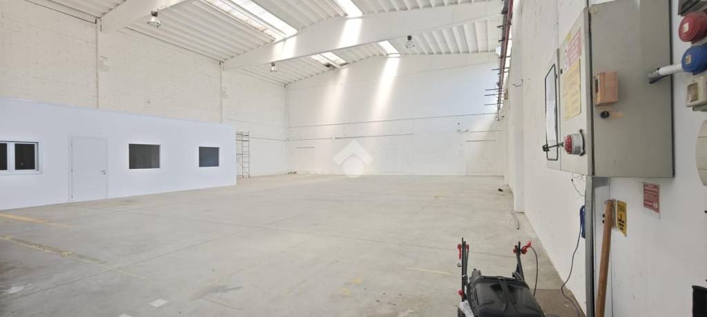 immagine annuncio 12 di 14