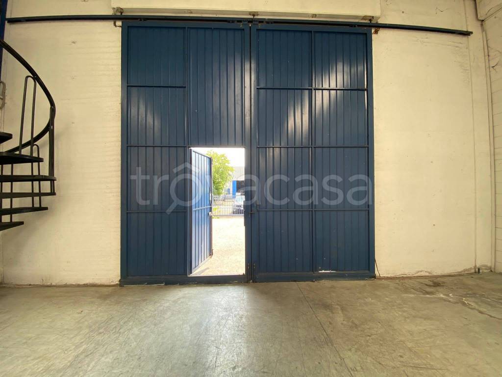 immagine annuncio 9 di 15