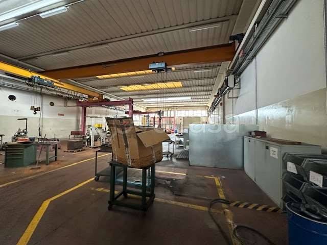 immagine annuncio 1 di 12