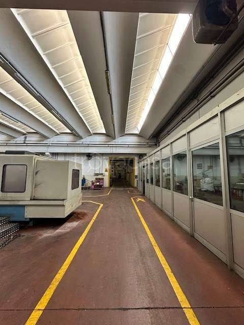 immagine annuncio 4 di 12