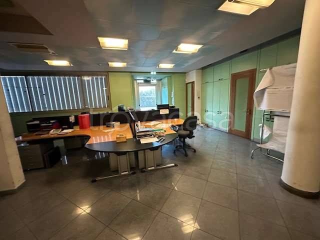 immagine annuncio 8 di 12