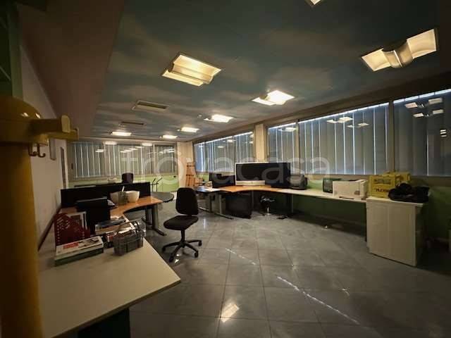 immagine annuncio 10 di 12