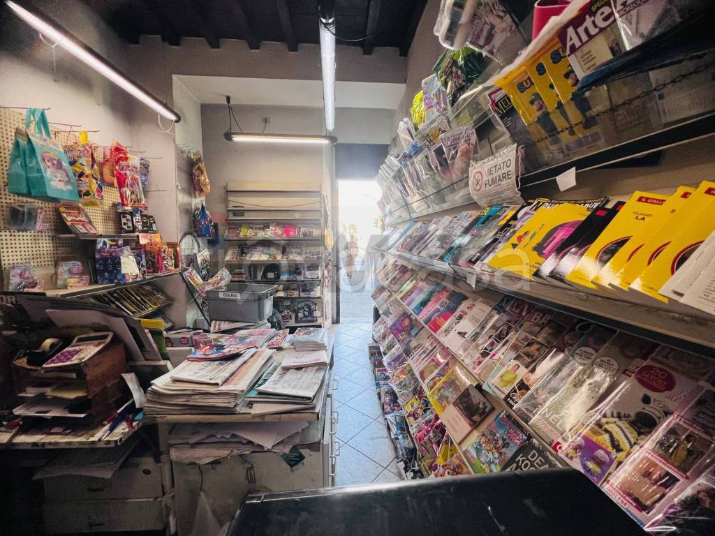 immagine annuncio 6 di 11