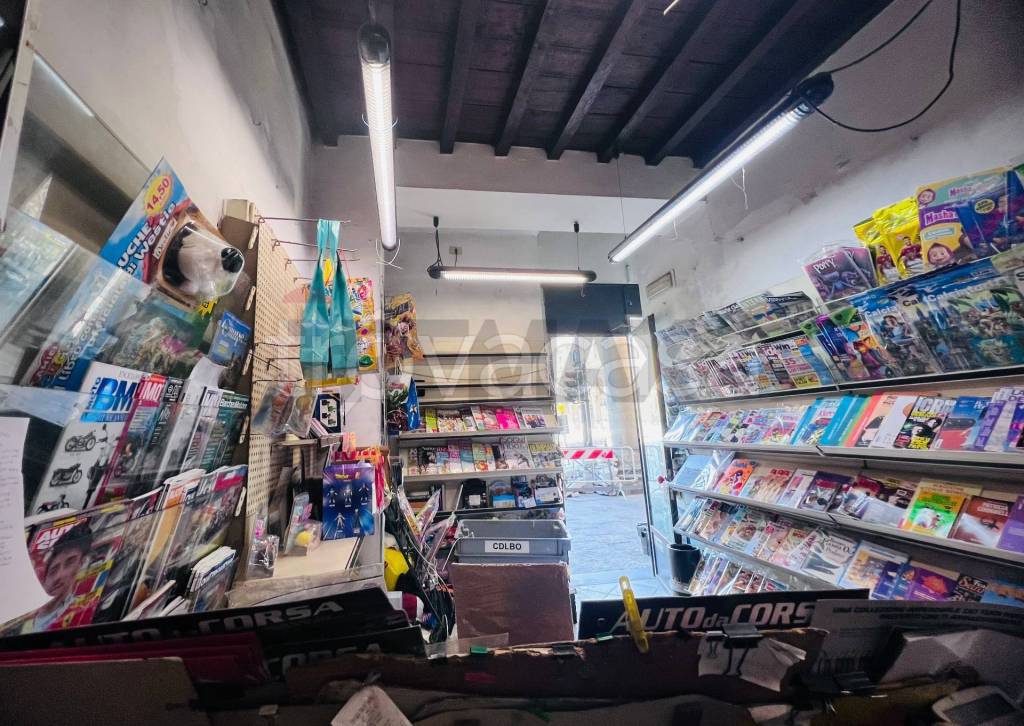 immagine annuncio 7 di 11