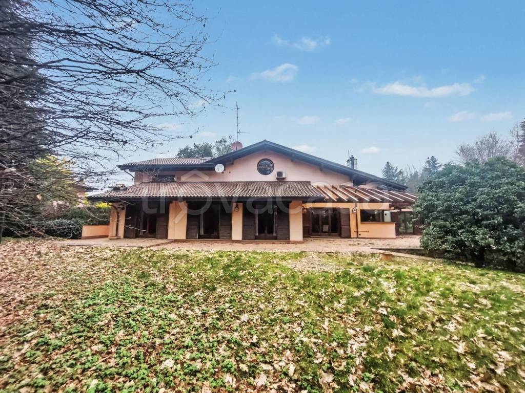 immagine annuncio 12 di 15