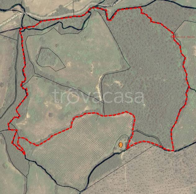 immagine annuncio 1 di 2