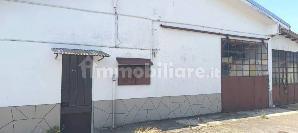 immagine annuncio 7 di 8