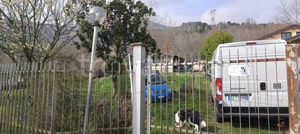 immagine annuncio 7 di 9