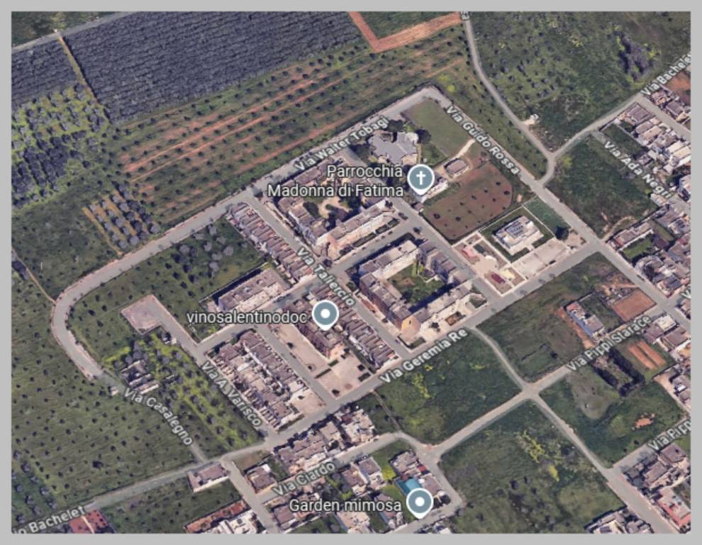 immagine annuncio 12 di 15