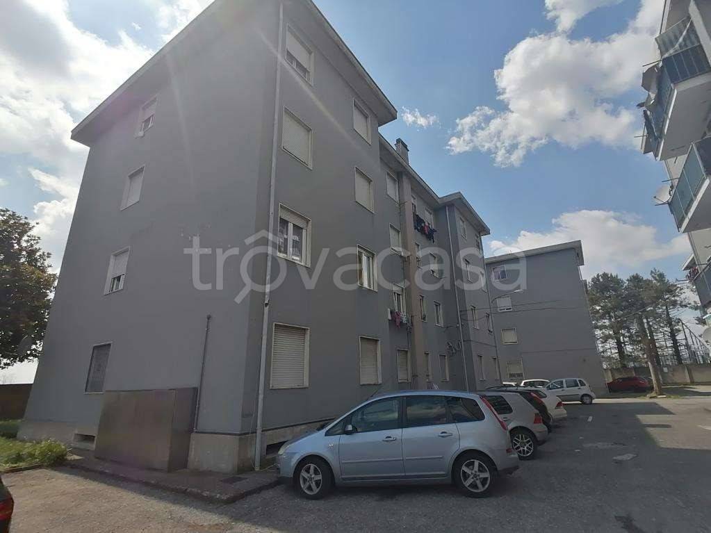 immagine annuncio 3 di 14