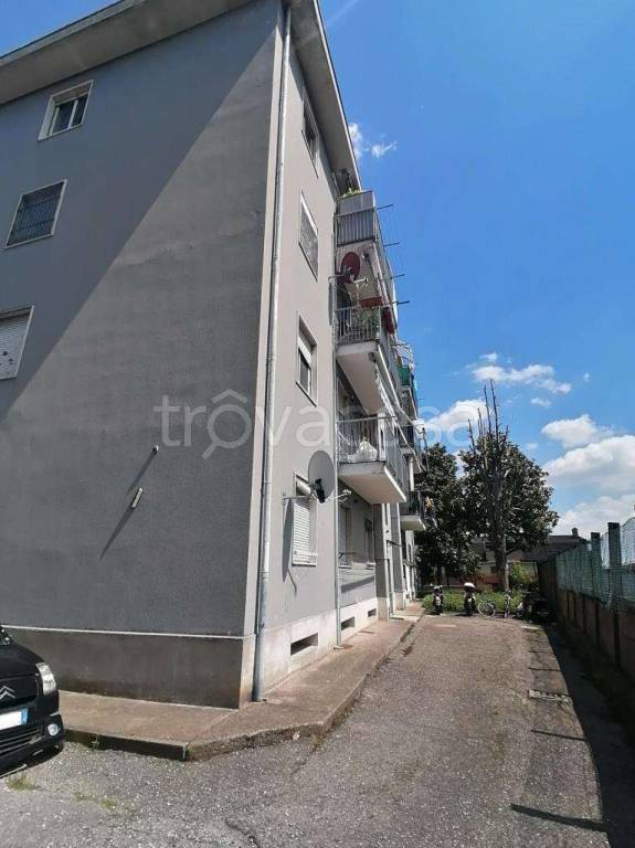 immagine annuncio 4 di 14